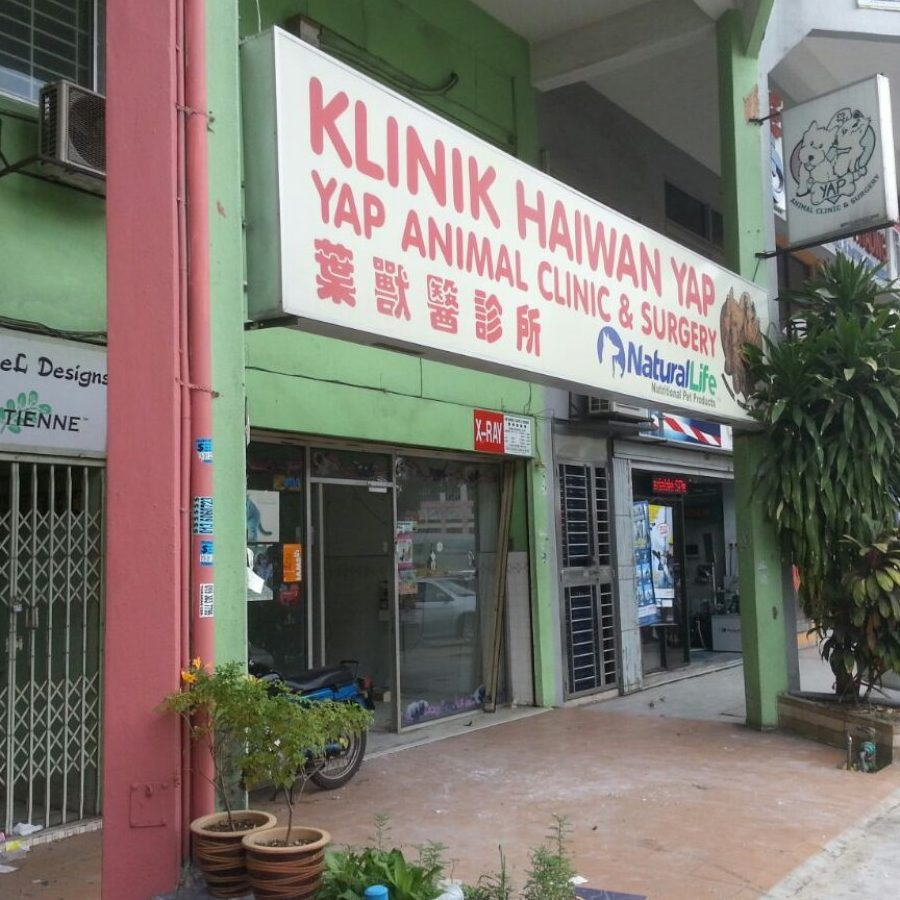 klinik anjing terbaik di banting