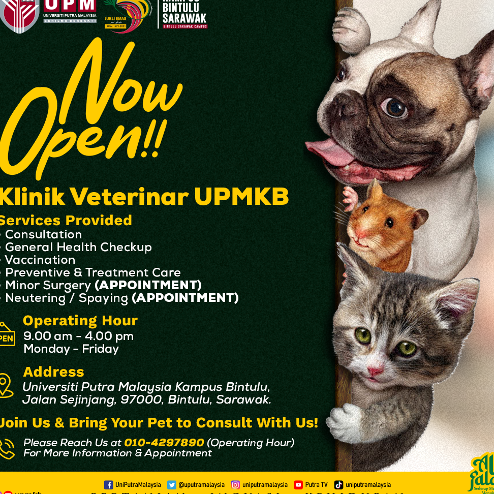 klinik anjing terbaik di bintulu