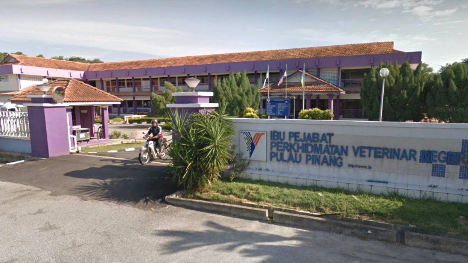klinik anjing terbaik di bukit mertajam