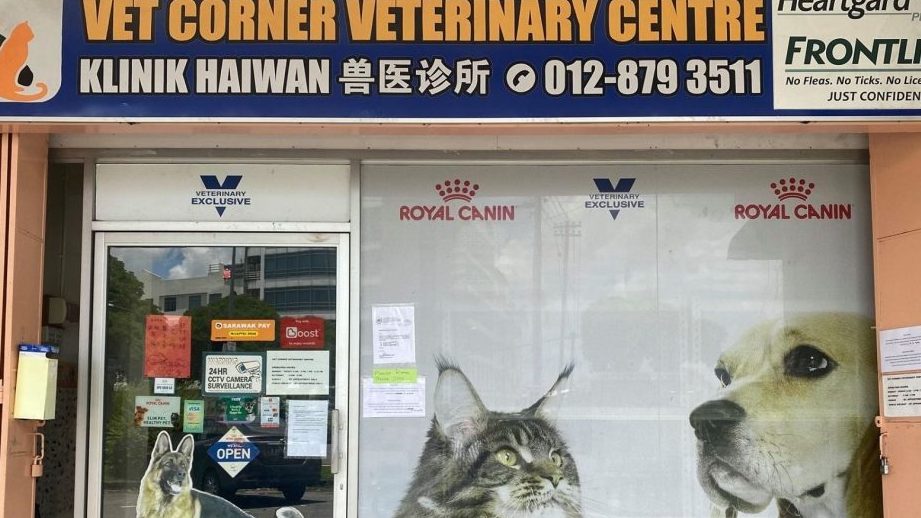 klinik anjing terbaik di bukit rambai