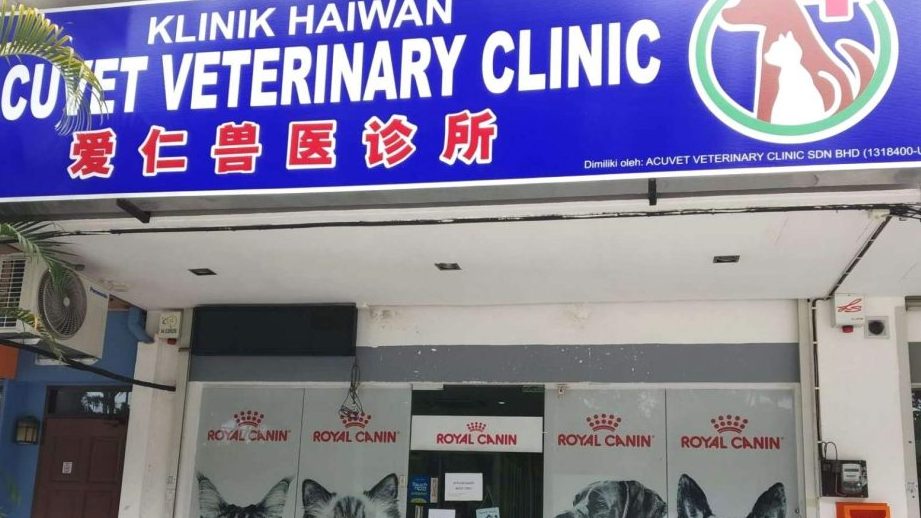 klinik anjing terbaik di butterworth
