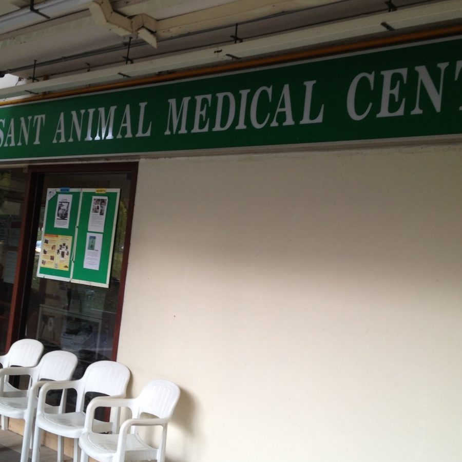 Klinik Anjing Terbaik di Daerah Mersing 1 klinik anjing terbaik di daerah mersing