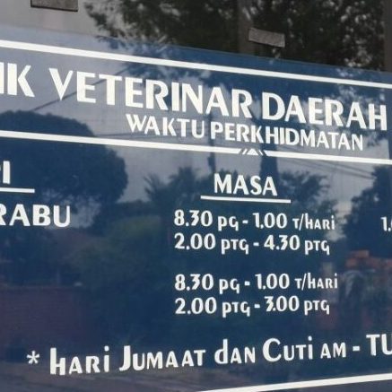 Klinik Anjing Terbaik di Kampong Dungun 1 klinik anjing terbaik di kampong dungun