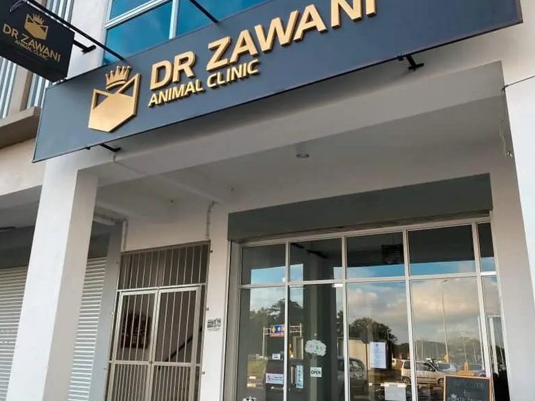 klinik anjing terbaik di kampung baru subang