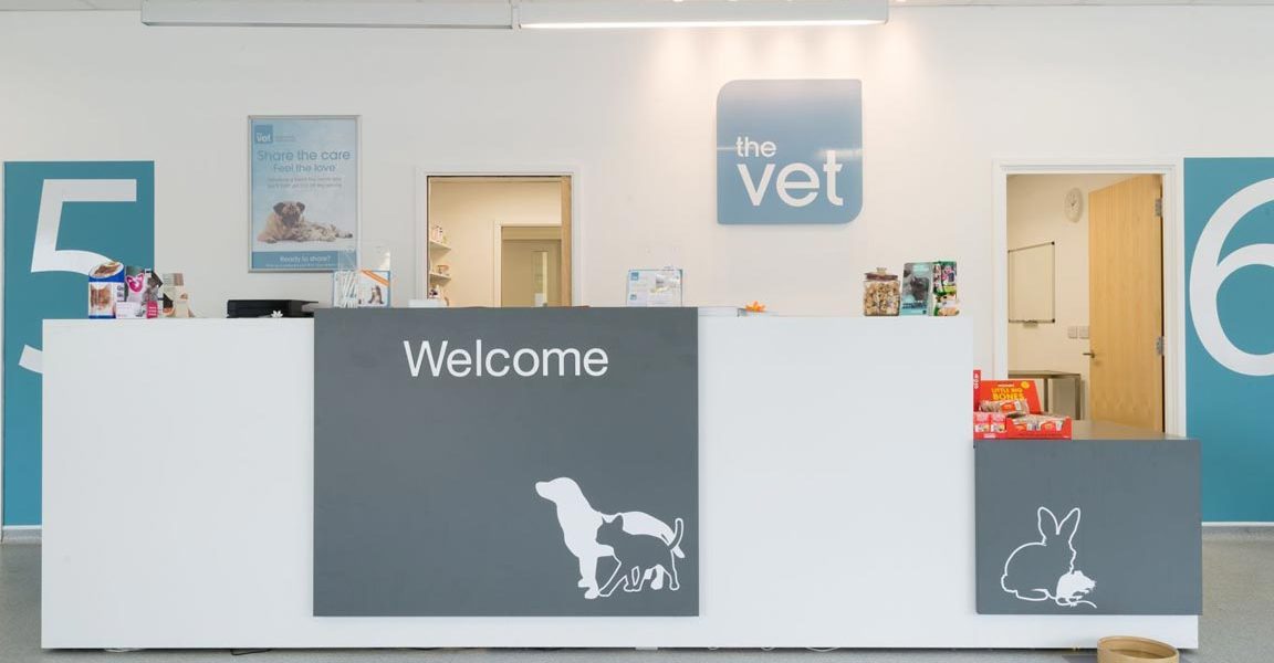 klinik anjing terbaik di kampung tanjung karang