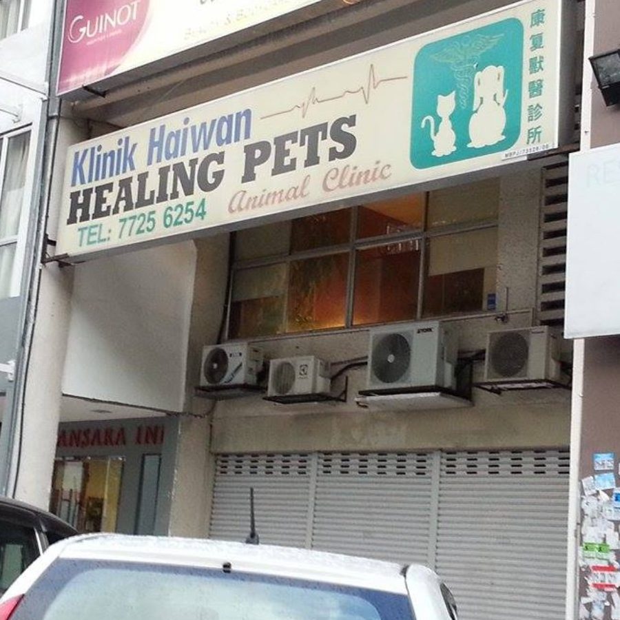klinik anjing terbaik di klebang besar