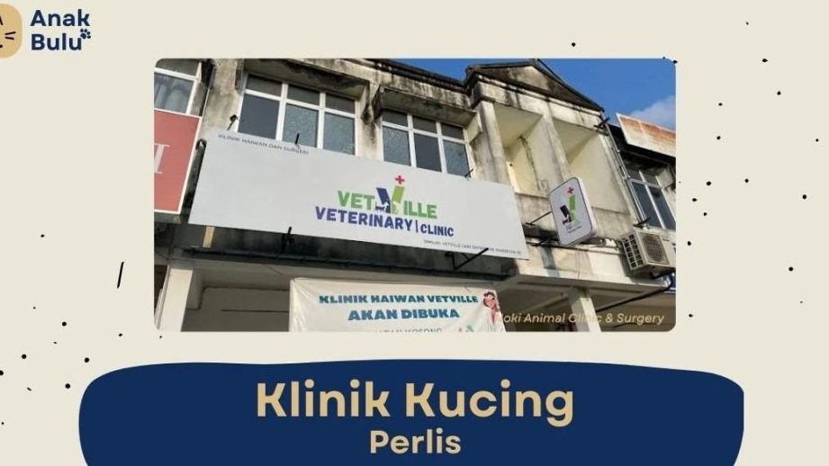 klinik anjing terbaik di kuala perlis