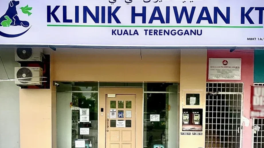 klinik anjing terbaik di kuala terengganu