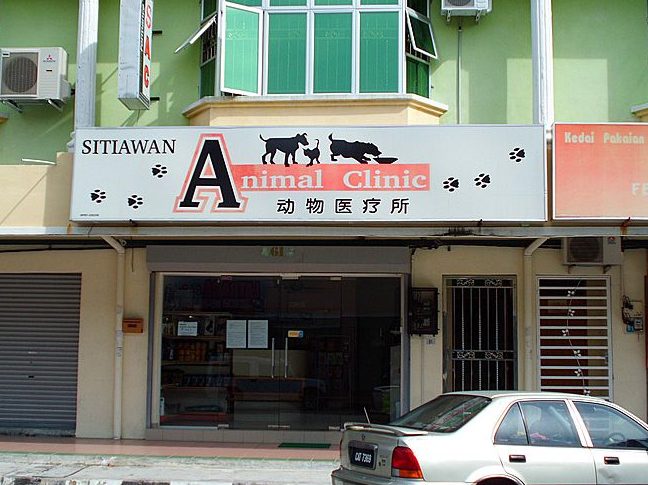 klinik anjing terbaik di lumut