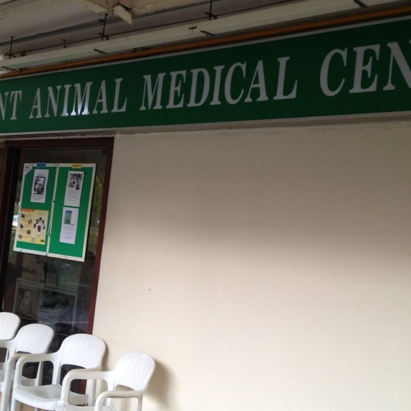 klinik anjing terbaik di pontian kechil