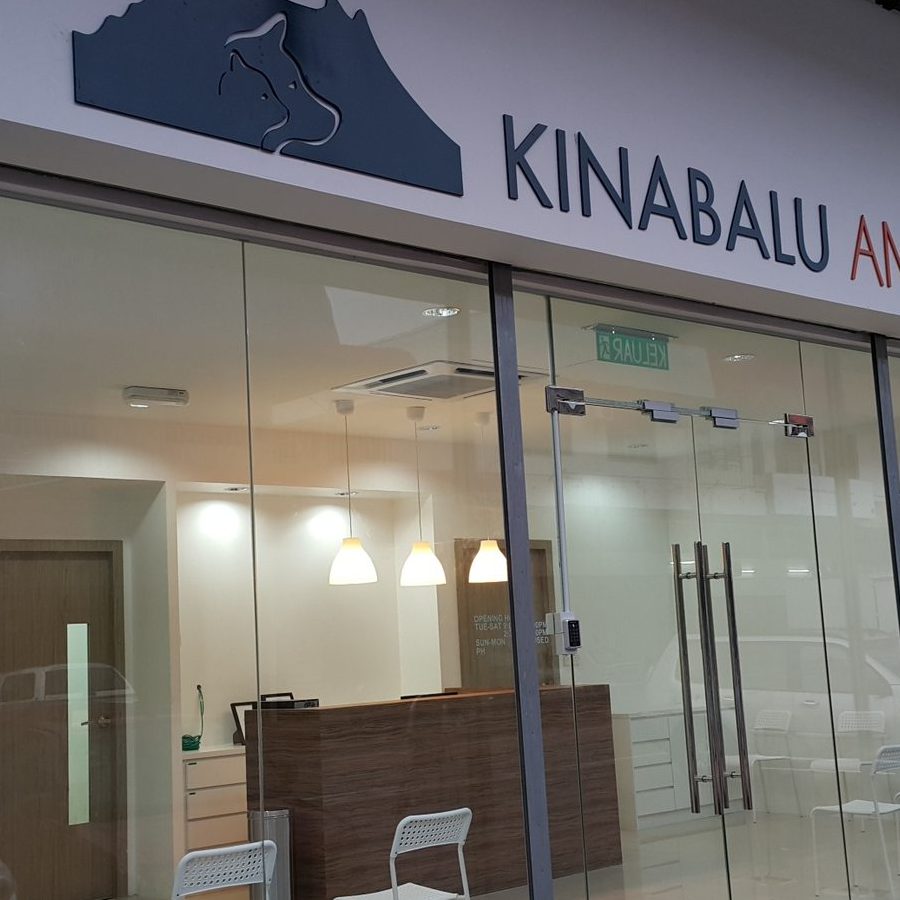 Klinik Anjing Terbaik di Putatan 1 klinik anjing terbaik di putatan