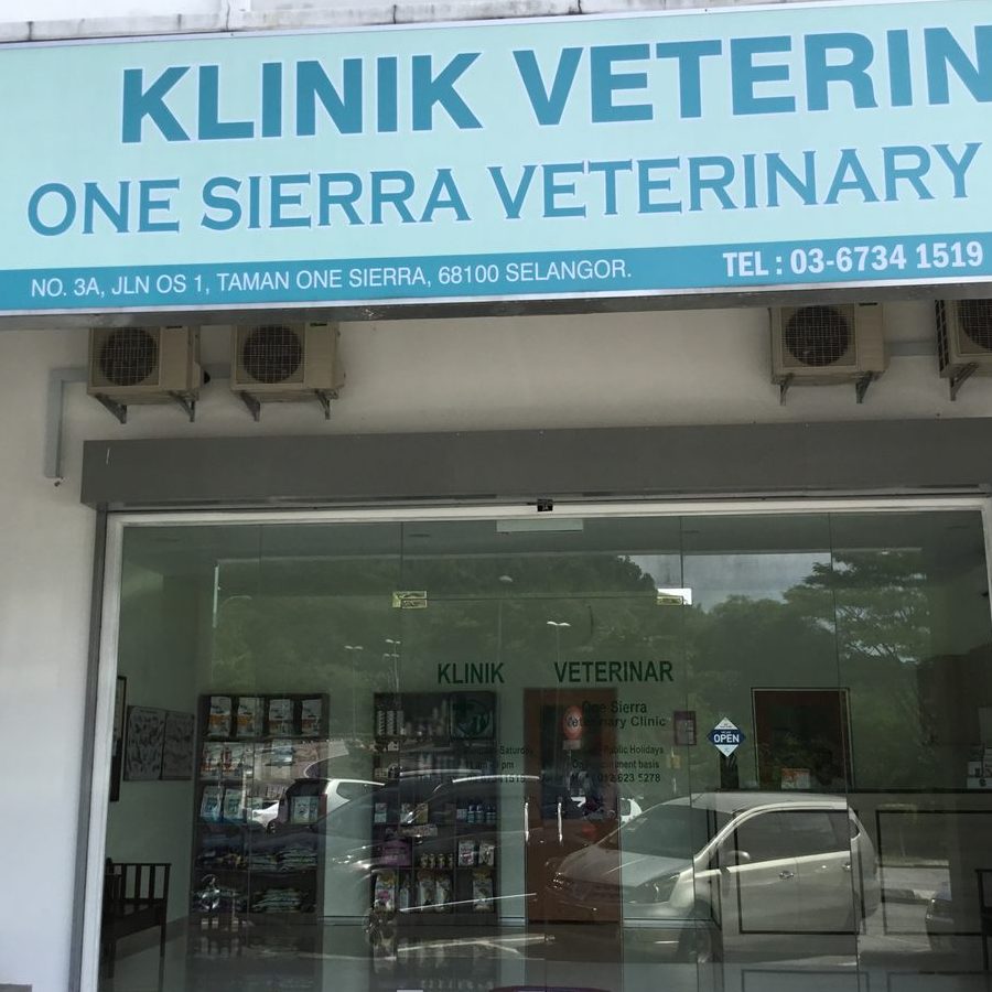 klinik anjing terbaik di rawang