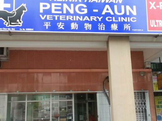 klinik anjing terbaik di sarikei