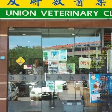 klinik anjing terbaik di sibu