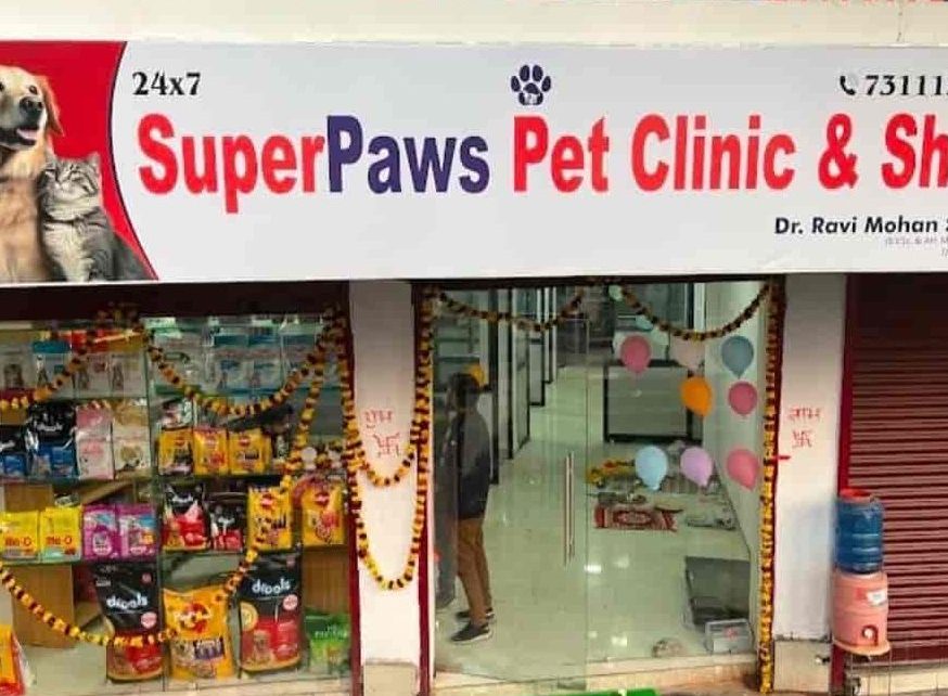 klinik anjing terbaik di simanggang