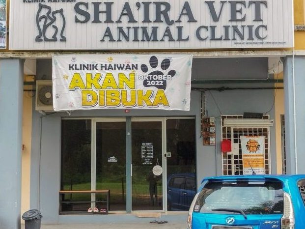 klinik anjing terbaik di taiping