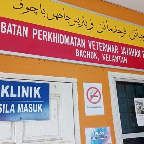 klinik haiwan bachok khb