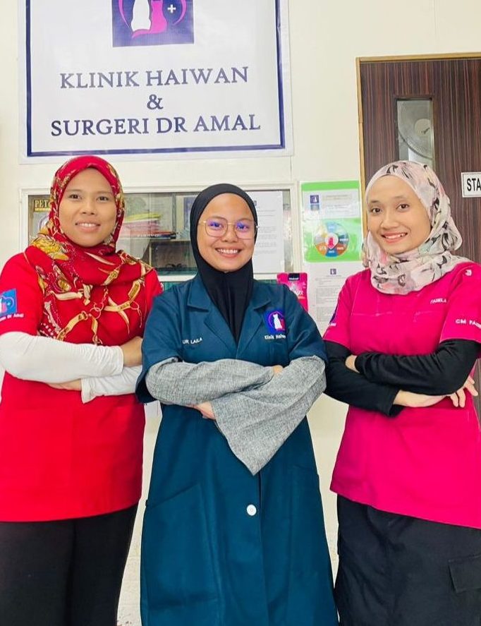 klinik haiwan dr ameerul
