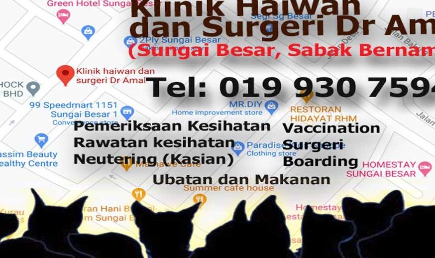 klinik haiwan dr nour klang