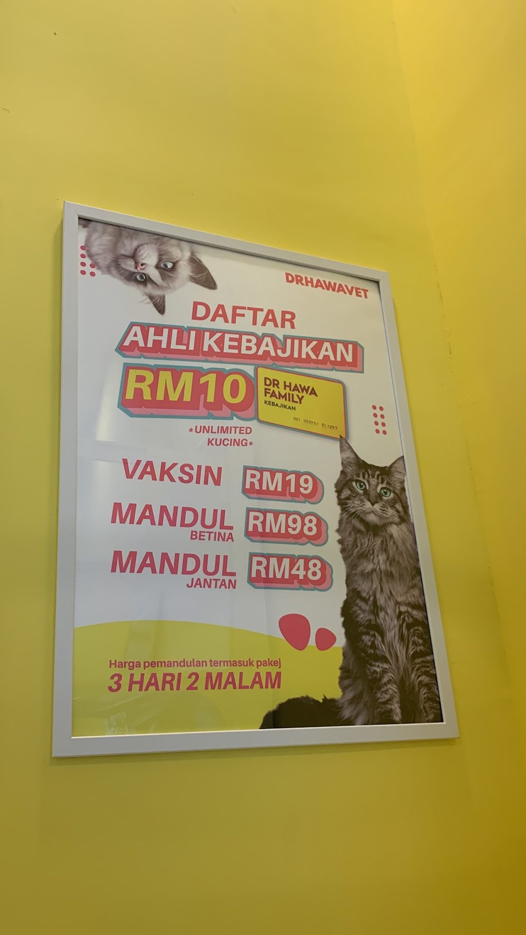 klinik haiwan drhawavet kota damansara