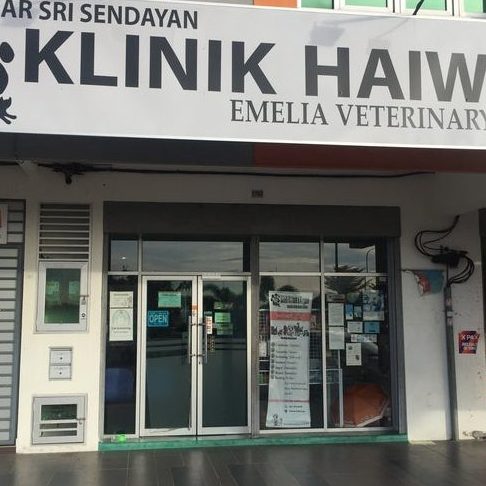 klinik haiwan emelia veterinary clinic