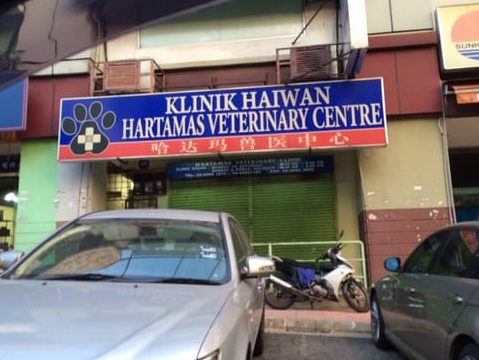 klinik haiwan hartamas veterinary centre