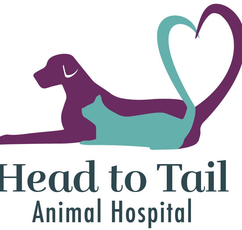 klinik haiwan head to tail