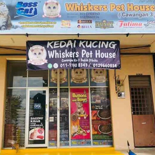 klinik haiwan jertih