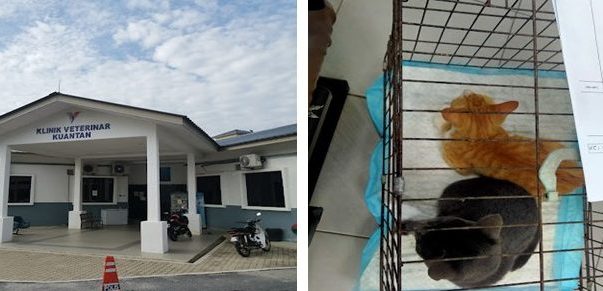 klinik haiwan kuantan