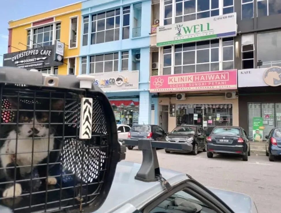 klinik haiwan perdana heights formerly known as klinik haiwan ecovet sp