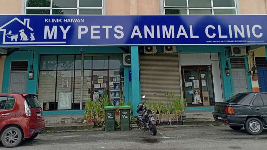 Klinik Haiwan PETS 1 klinik haiwan pets