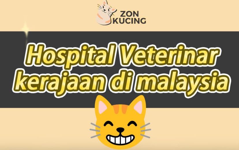 klinik haiwan simpang