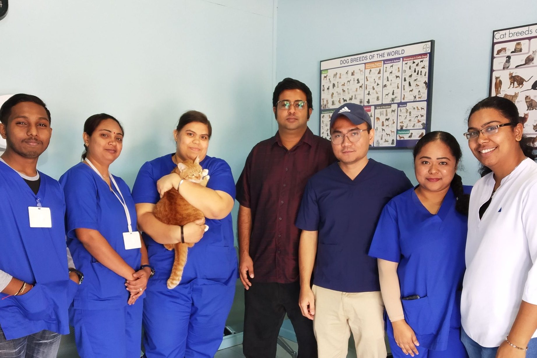 klinik haiwan surgeri elite seremban