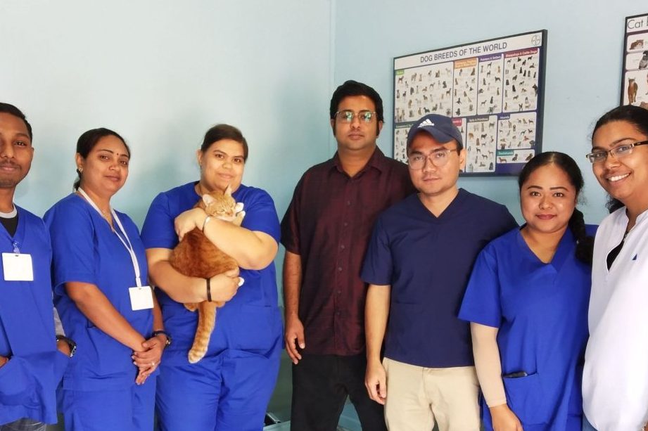 Klinik Haiwan & Surgeri Elite Tampin 1 klinik haiwan surgeri elite tampin
