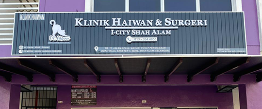 klinik haiwan surgeri i city shah alam cawangan dr meow