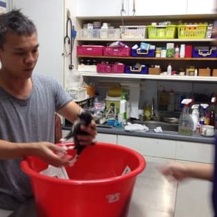 klinik veterinar damai