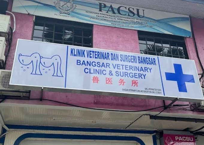 Klinik Veterinar Dan Surgeri Bangsar 1 klinik veterinar dan surgeri bangsar