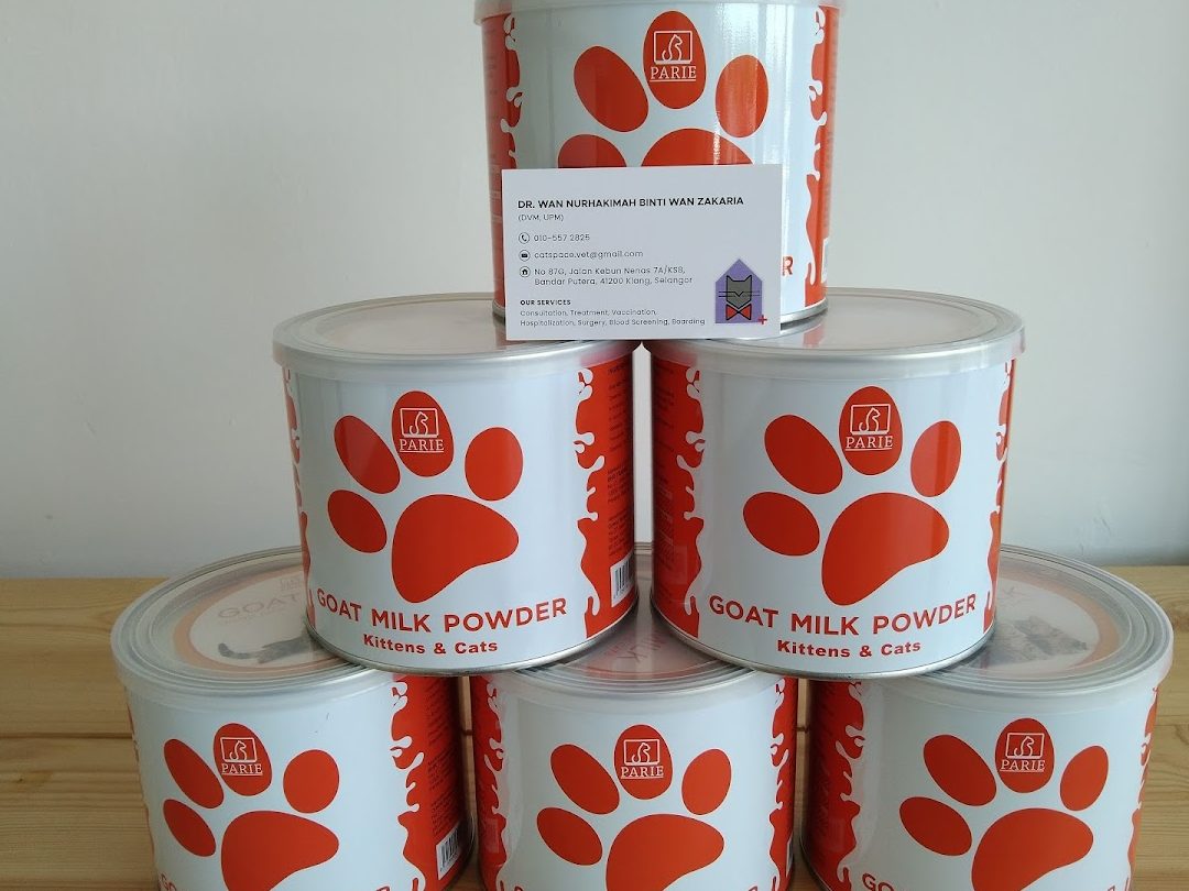 klinik veterinar dan surgeri catspace