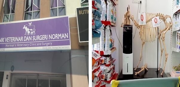 klinik veterinar dan surgeri norman
