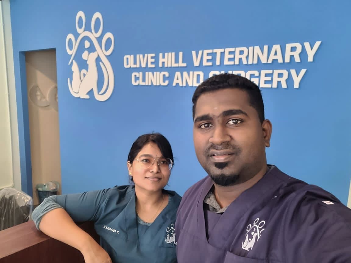 klinik veterinar dan surgeri olive hill emergency hours