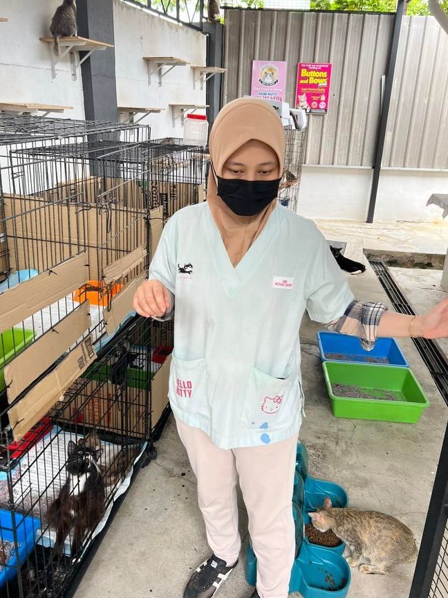 klinik veterinar maya