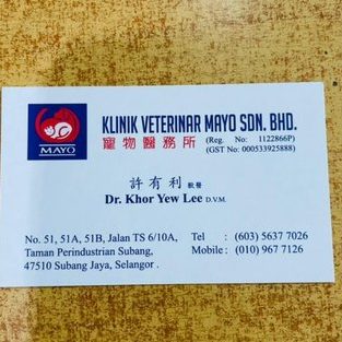 klinik veterinar mayo
