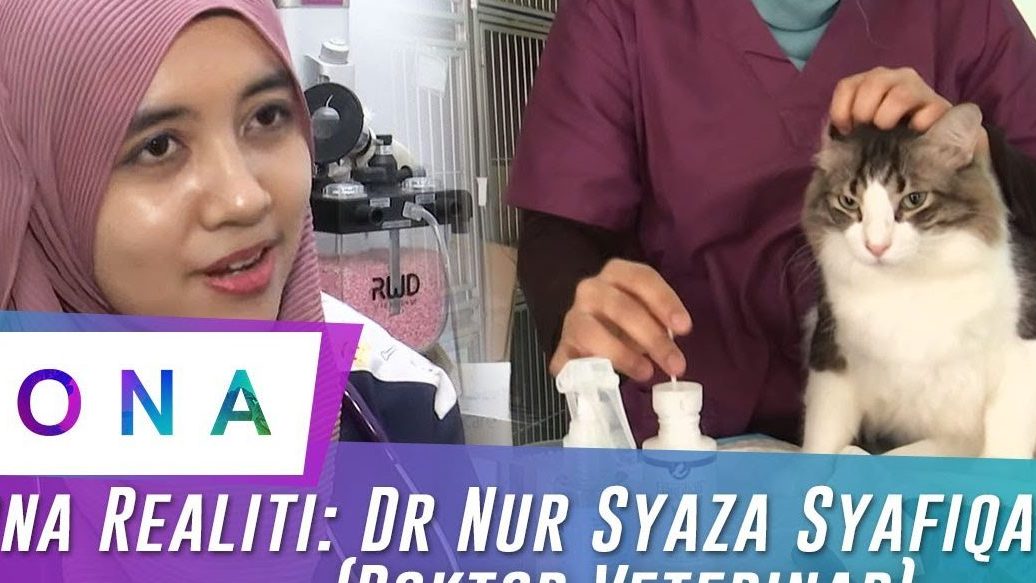 klinik veterinar nur