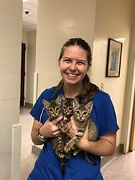 klinik veterinar swift paws