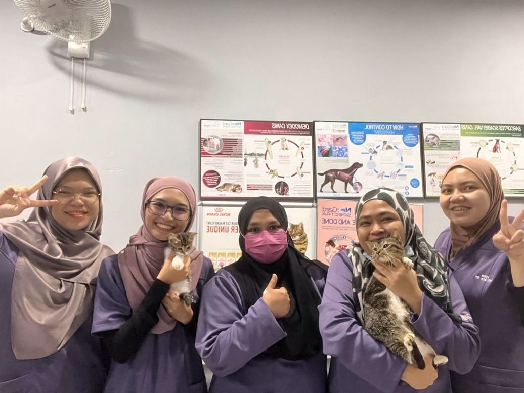 klinik veterinar vetcare rp