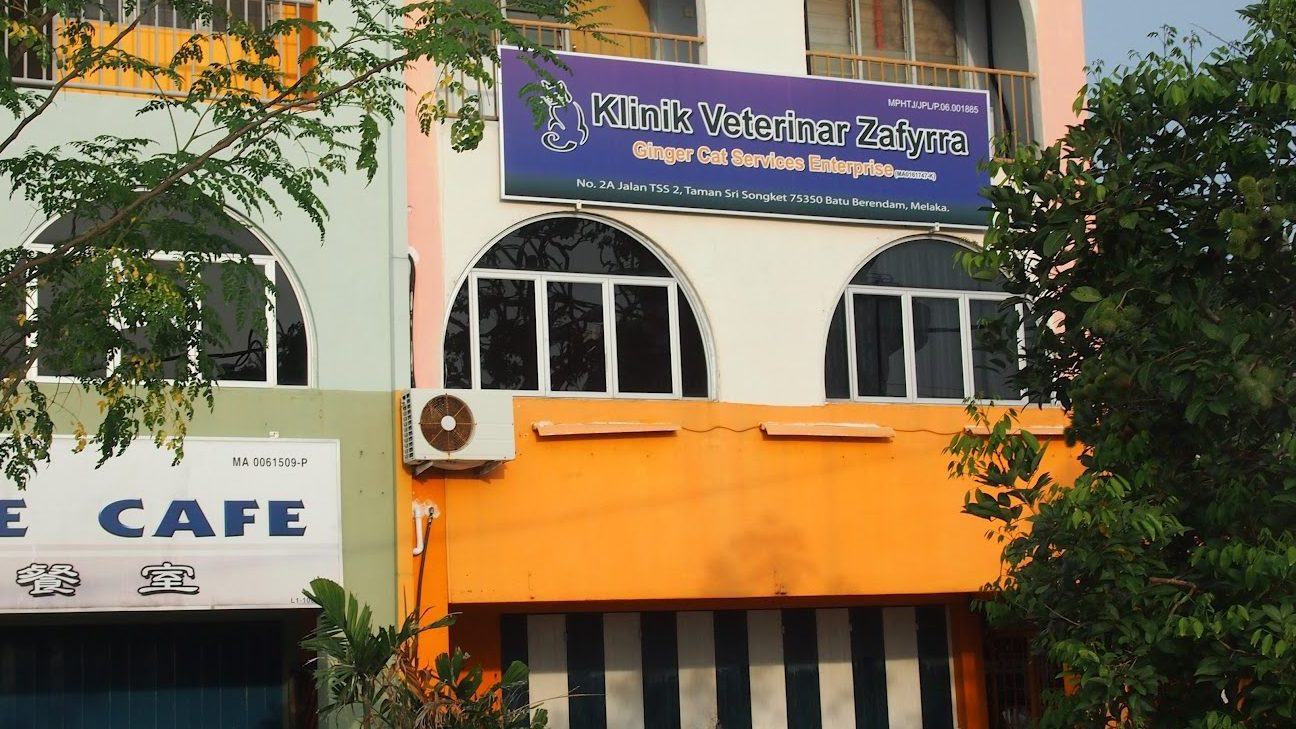 klinik veterinar zafyrra