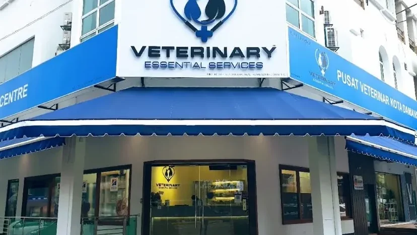Kota Damansara Veterinary Centre | Surgical Centre | Weekday Night Clinic 1 kota damansara veterinary centre surgical centre weekday night clinic