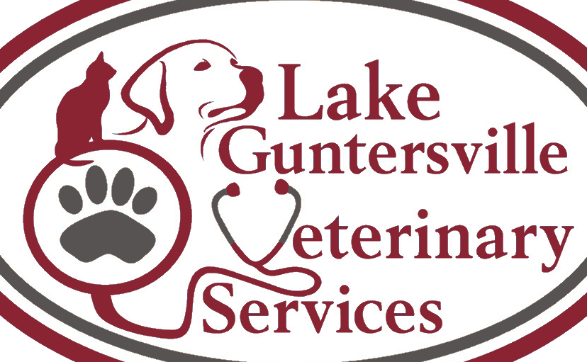 kuala lipis abattoir complex department of veterinary services