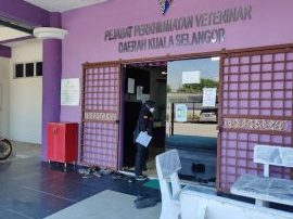 kuala selangor district veterinary services office