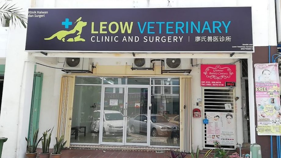 leow veterinary clinic and surgery